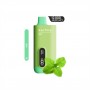 Saltica Ekranlı 12000 Mint Disposable Vape Bar